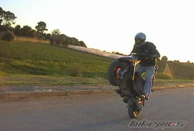 1999 GILERA STALKER 50 | Picture 988925 motorcycle photo