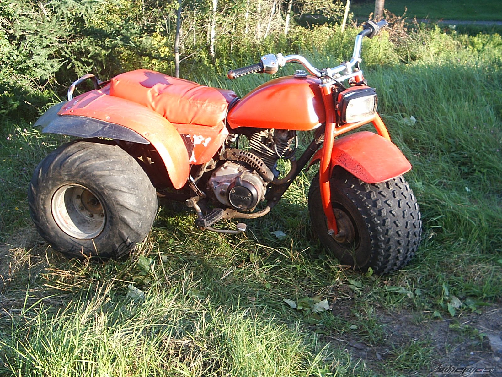 1982 HONDA ATC 185 | Picture 988998 motorcycle photo
