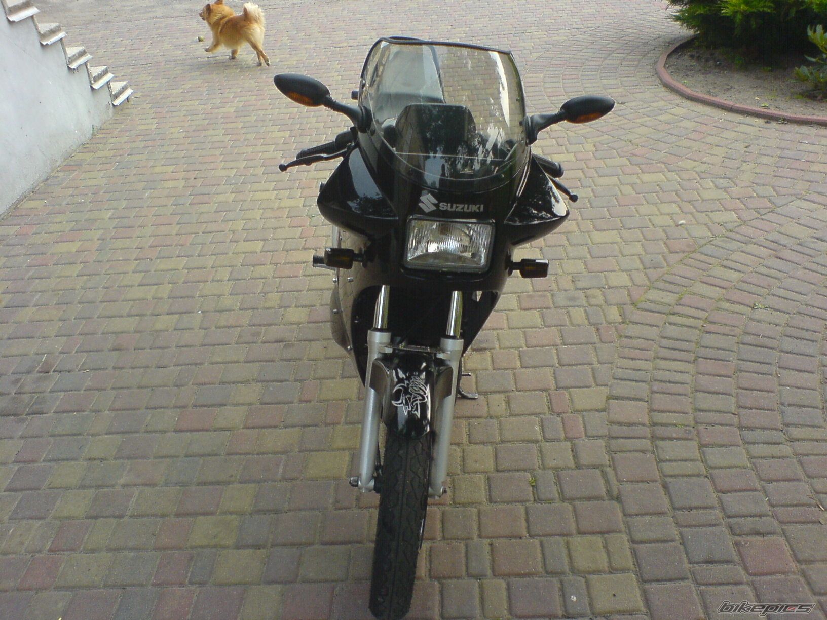 1994 SUZUKI RG 80 | Picture 989112 motorcycle photo