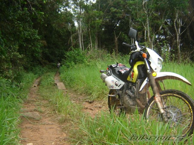 2005 SUZUKI DR 650 | Picture 989934 motorcycle photo