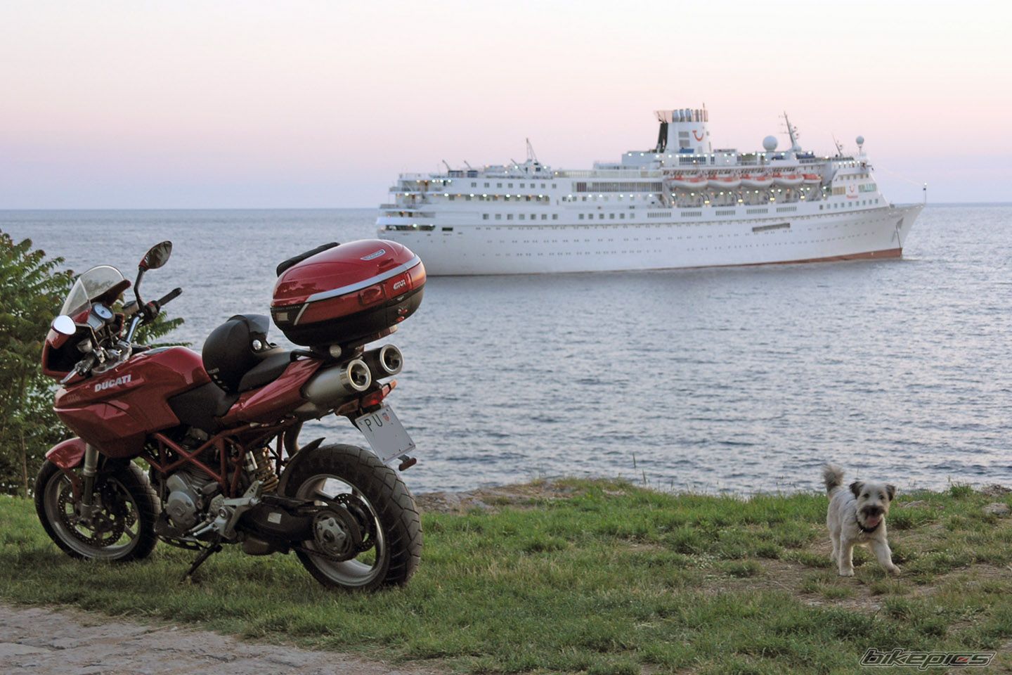 2005 DUCATI DS 1000 MULTISTRADA | Picture 990000 motorcycle photo