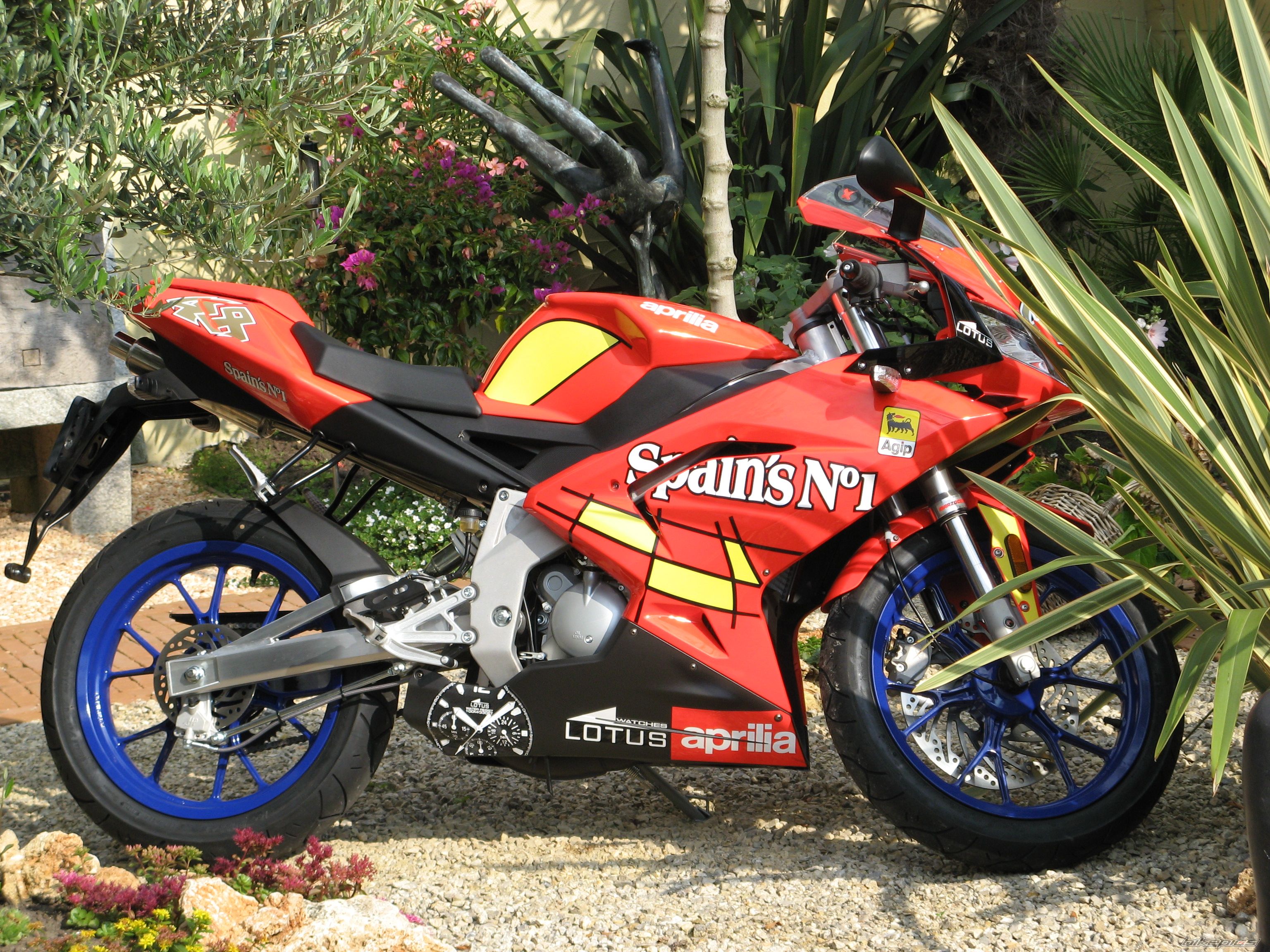2007 APRILIA RS 50 | Picture 990452 motorcycle photo