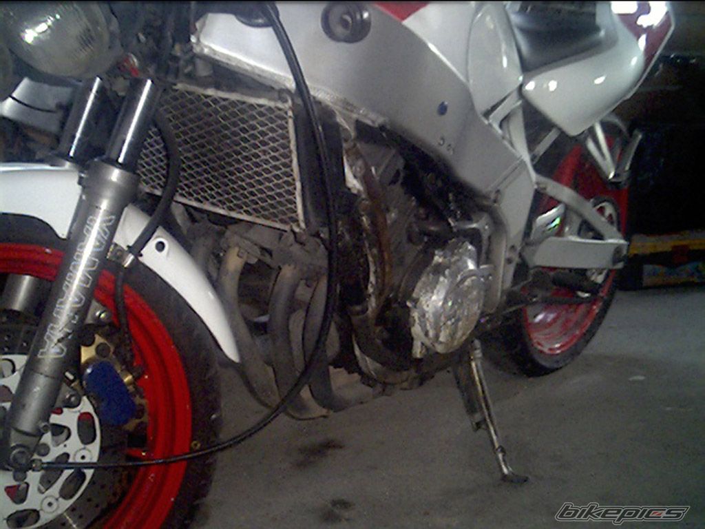 1989 YAMAHA FZR 400 | Picture 990919 motorcycle photo