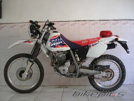1994 HONDA XR 250 BAJA | Picture 992007 motorcycle photo