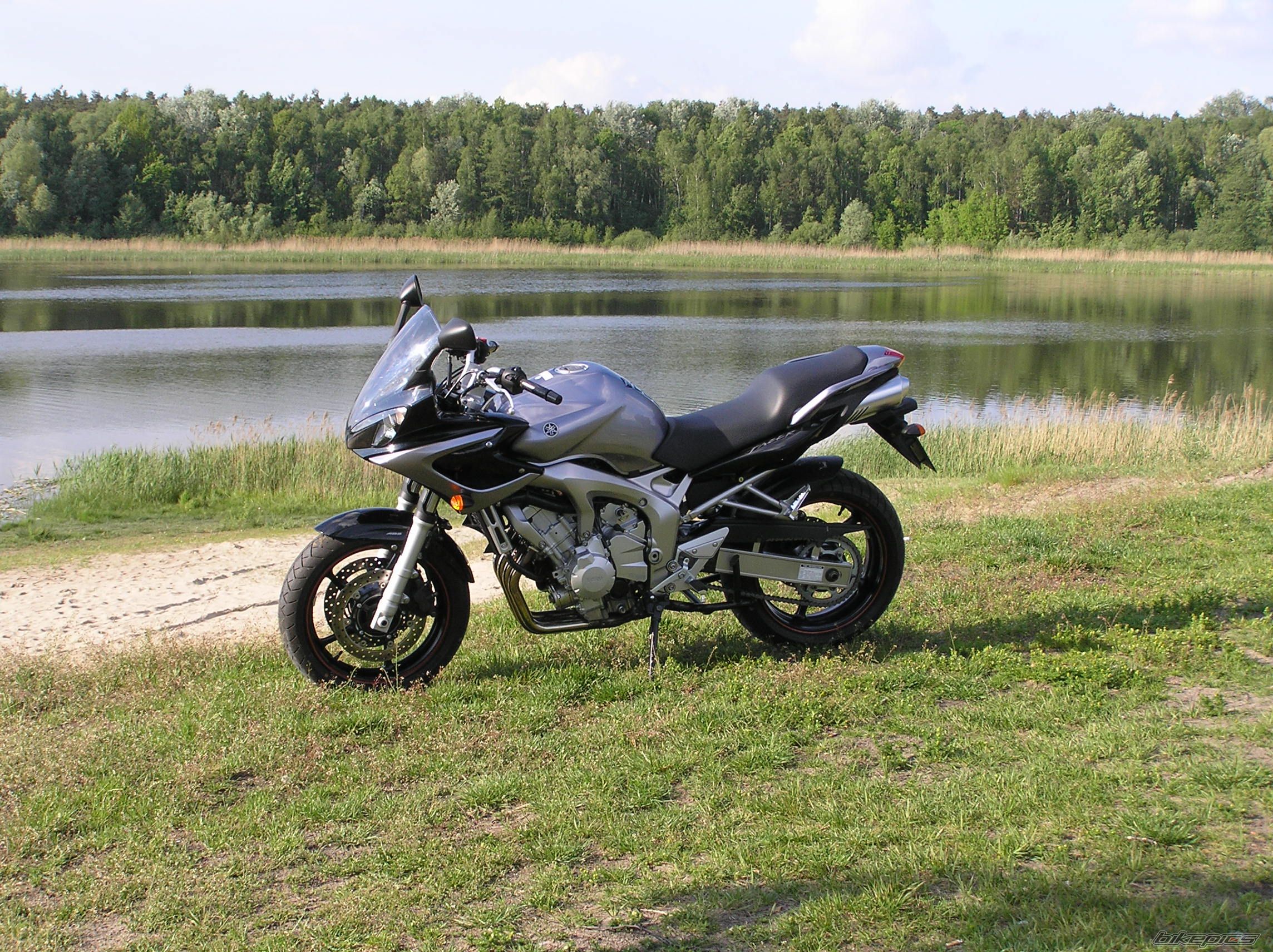 2006 YAMAHA FZ6 FAZER | Picture 992241 motorcycle photo