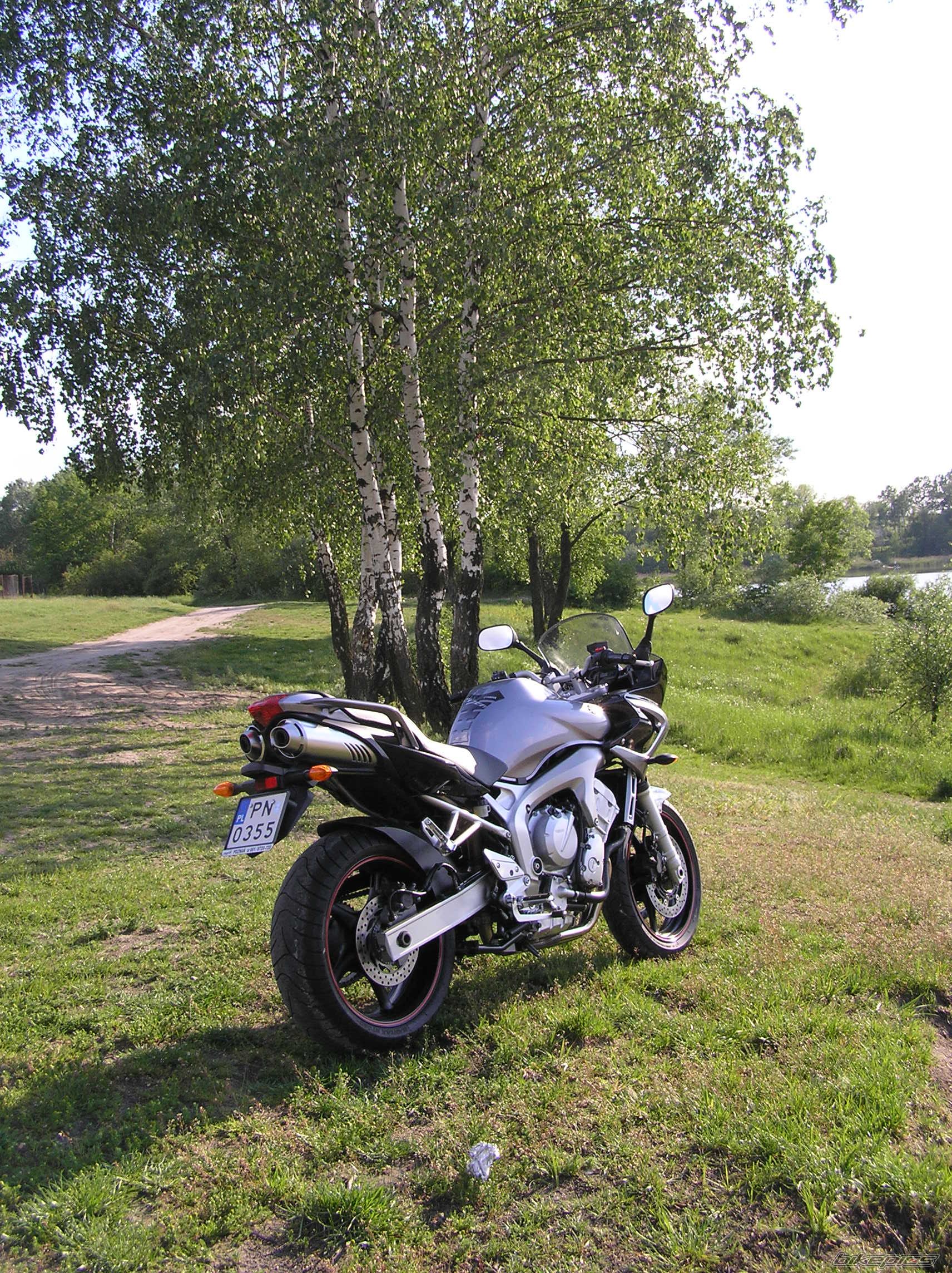 2006 YAMAHA FZ6 FAZER | Picture 992242 motorcycle photo