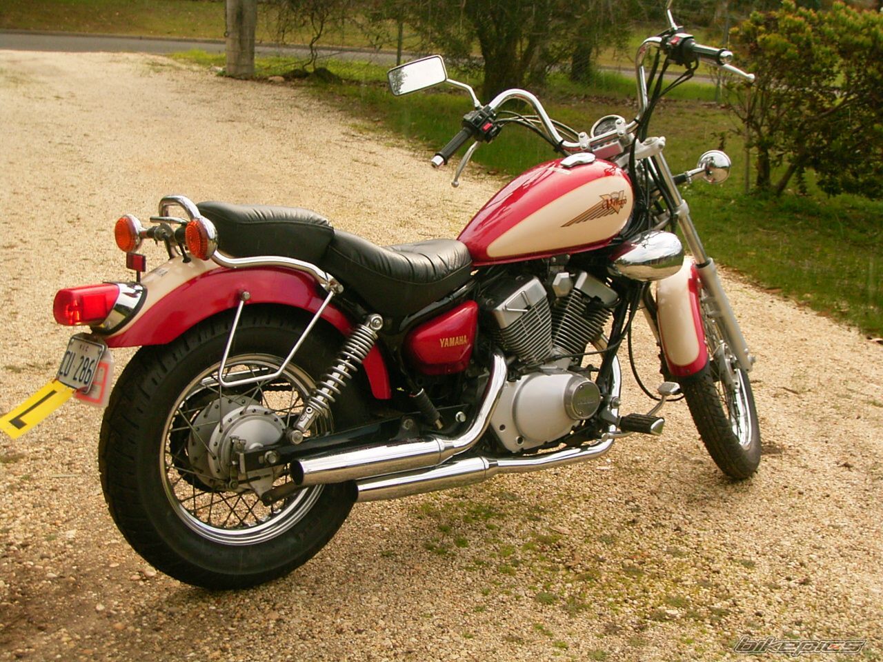 1997 YAMAHA VIRAGO 250 | Picture 992246 motorcycle photo