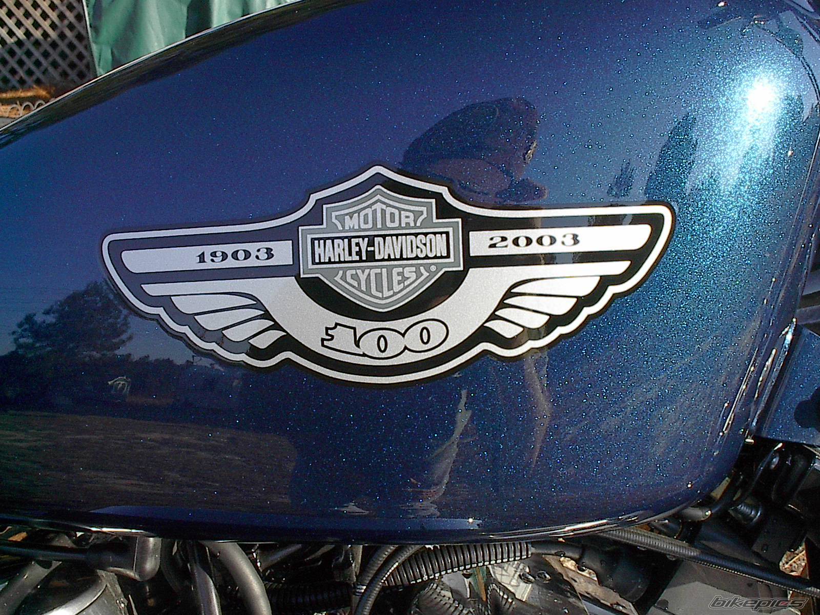 2003 HARLEY DAVIDSON XLH 883 | Picture 99249 motorcycle photo