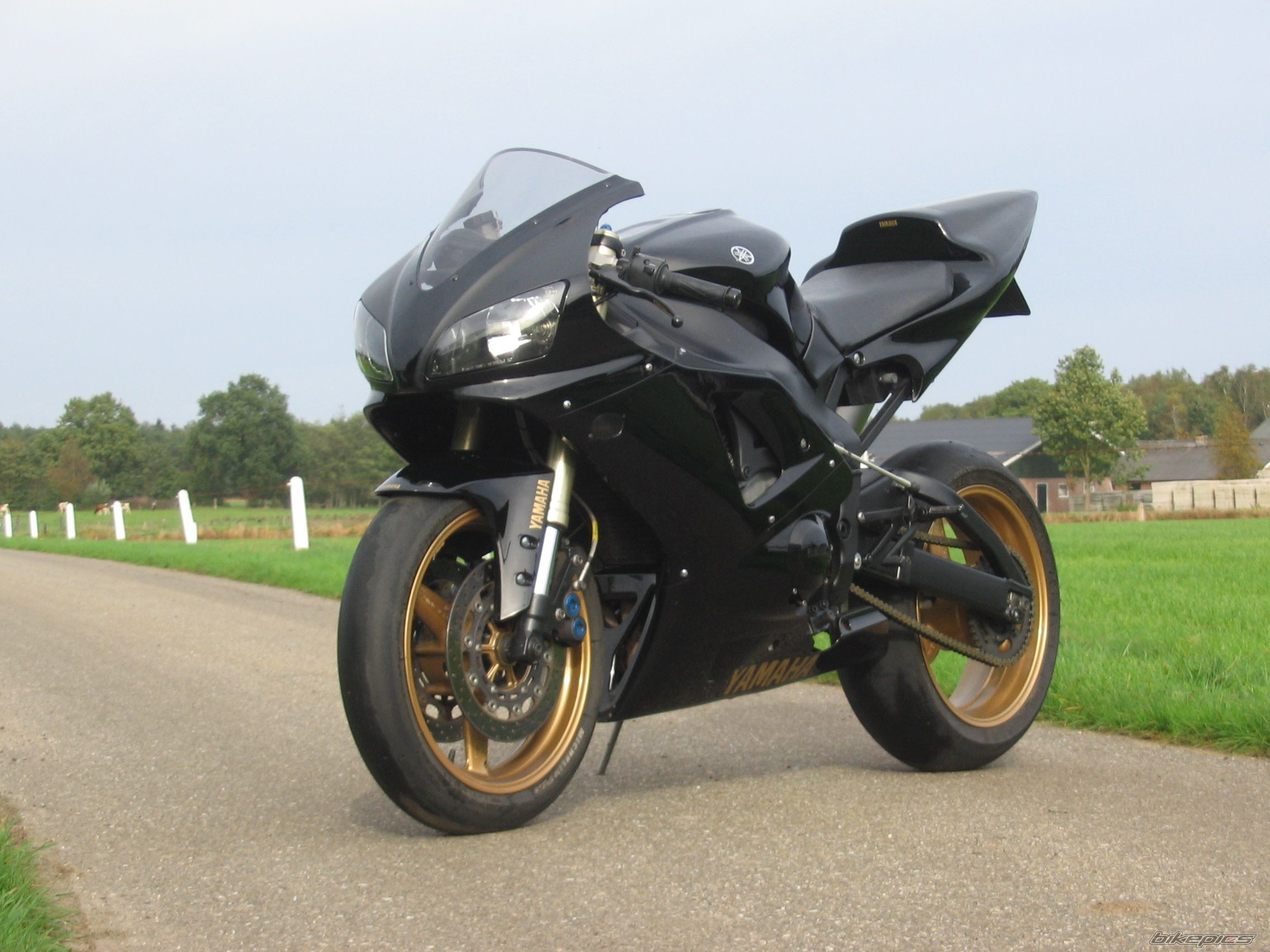 1998 YAMAHA YZF R1 | Picture 992700 motorcycle photo
