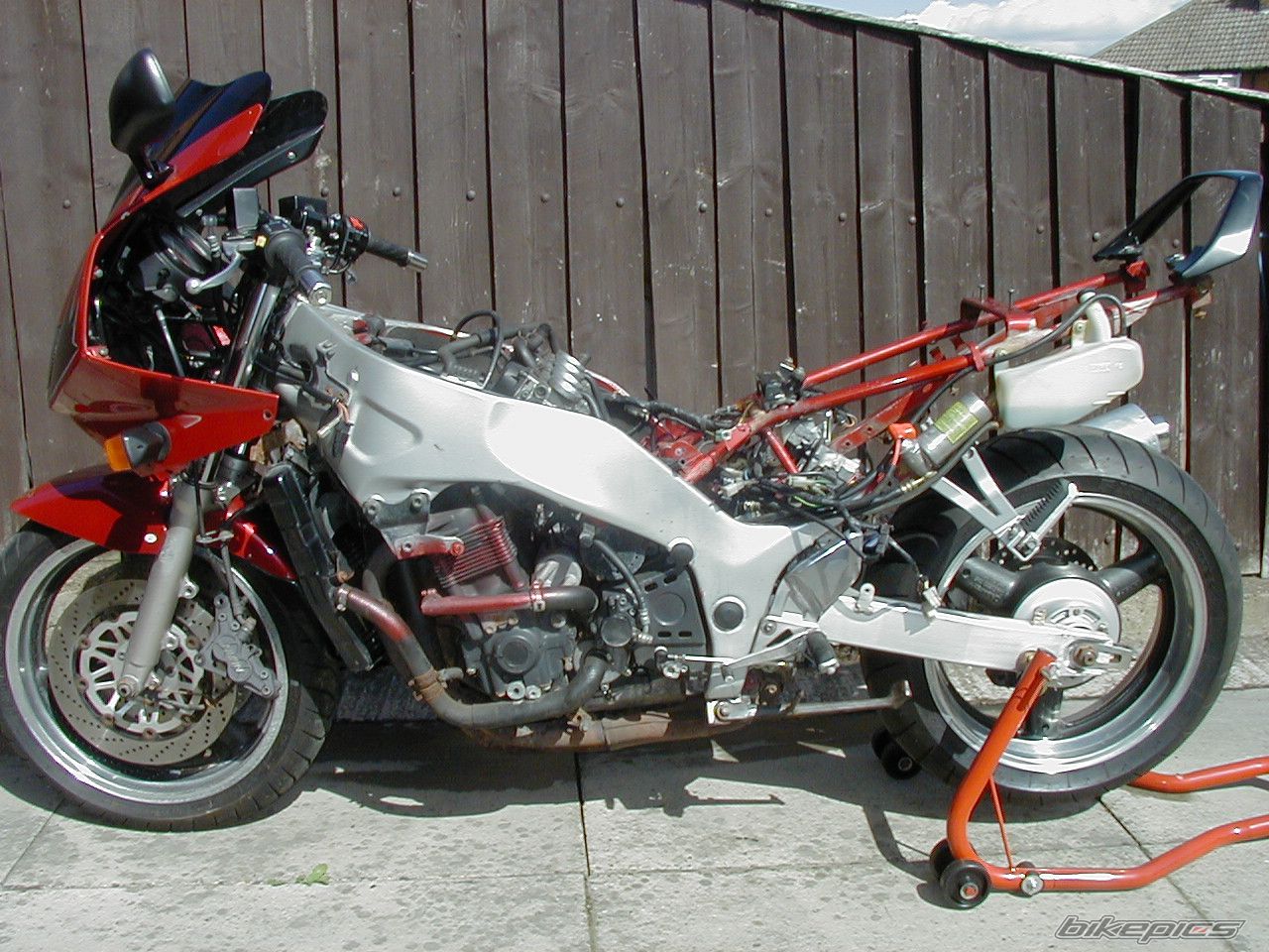 1995 SUZUKI RF 900 | Picture 992764 motorcycle photo