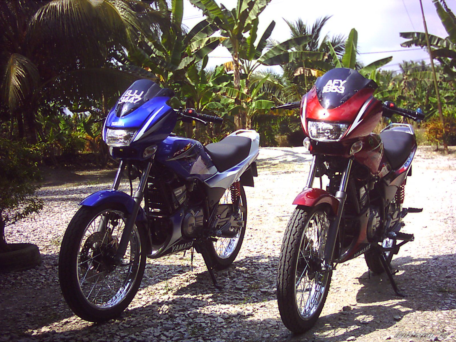 2005 YAMAHA RXZ 135 | Picture 993503 motorcycle photo