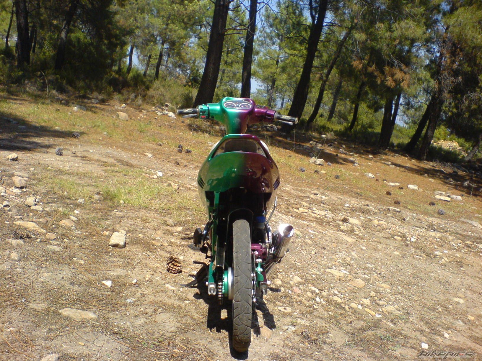 2009 YAMAHA 125 Z | Picture 993658 motorcycle photo