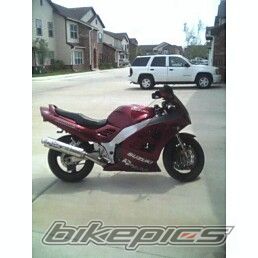 1995 SUZUKI RF 900 | Picture 994019 motorcycle photo