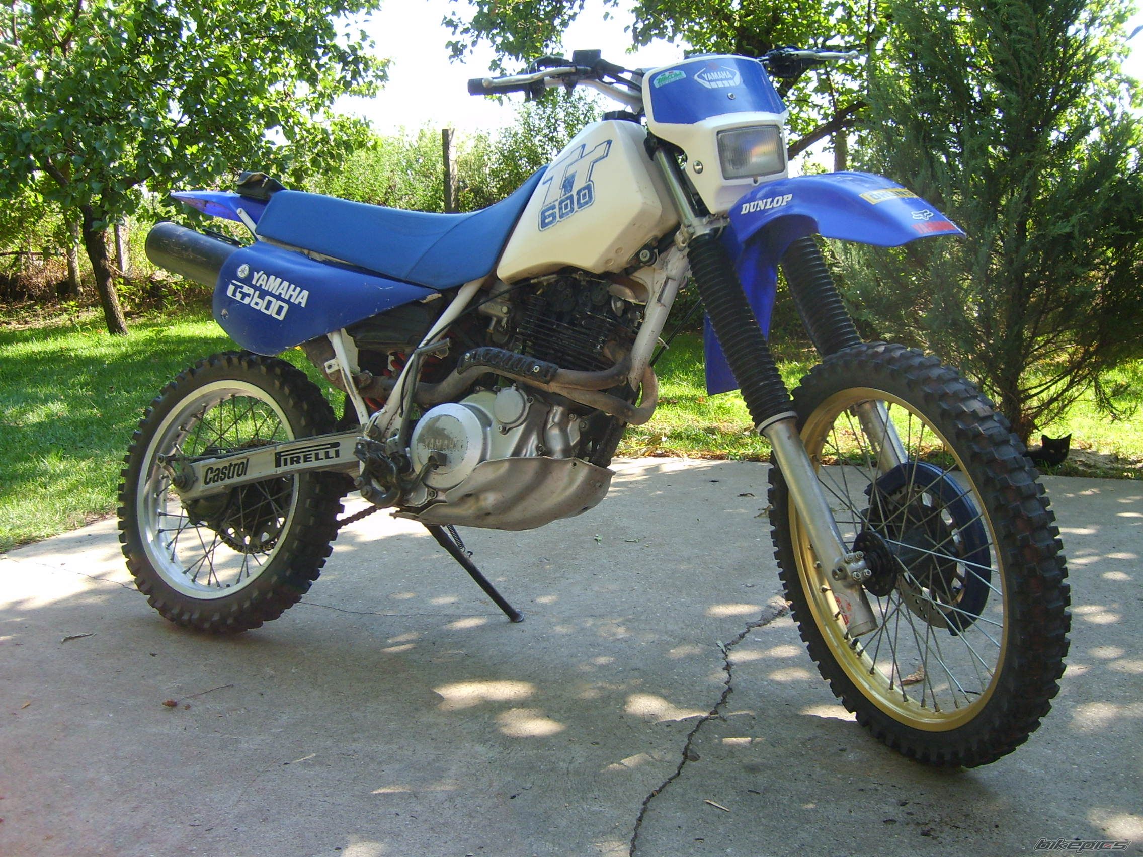 1993 YAMAHA TTR 600 | Picture 994291 motorcycle photo