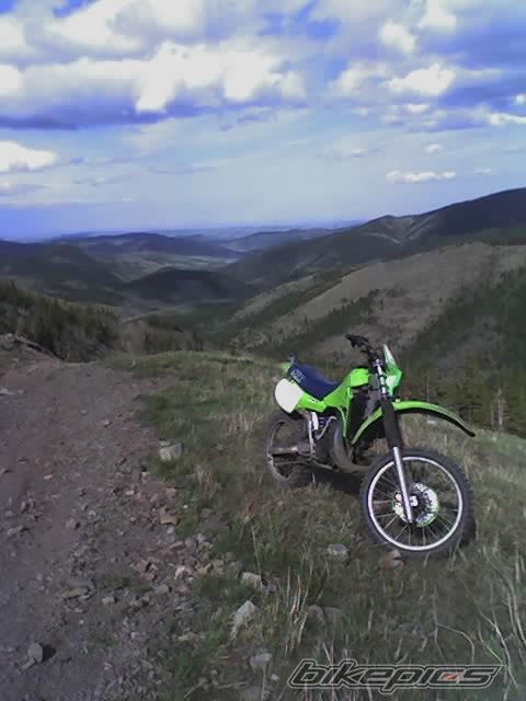 1985 KAWASAKI KX 250 | Picture 994785 motorcycle photo