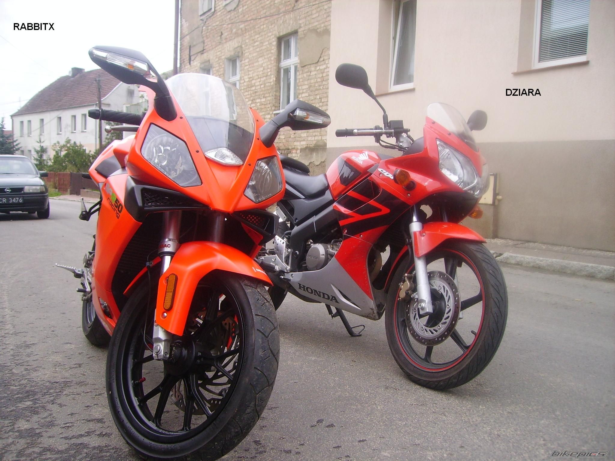 2004 DERBI GPR 50 RACING | Picture 995332 motorcycle photo