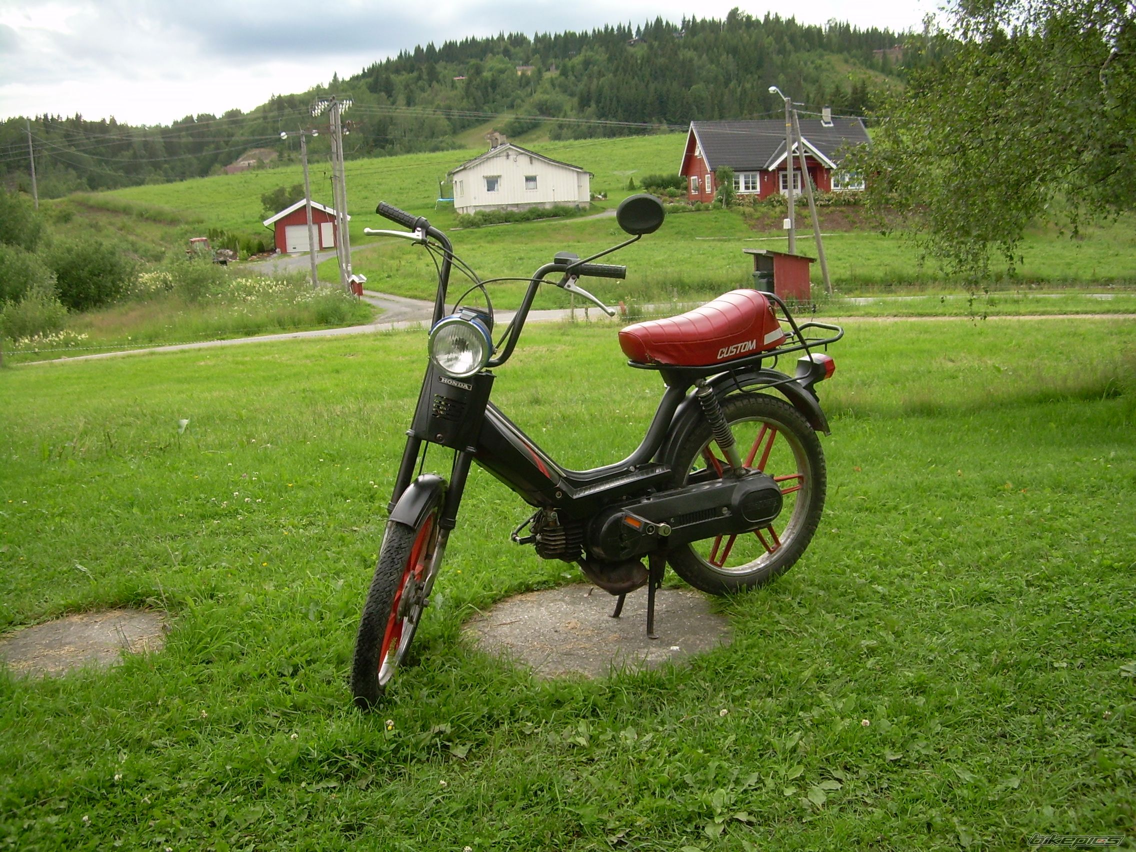 1980 HONDA PA 50 | Picture 995486 motorcycle photo