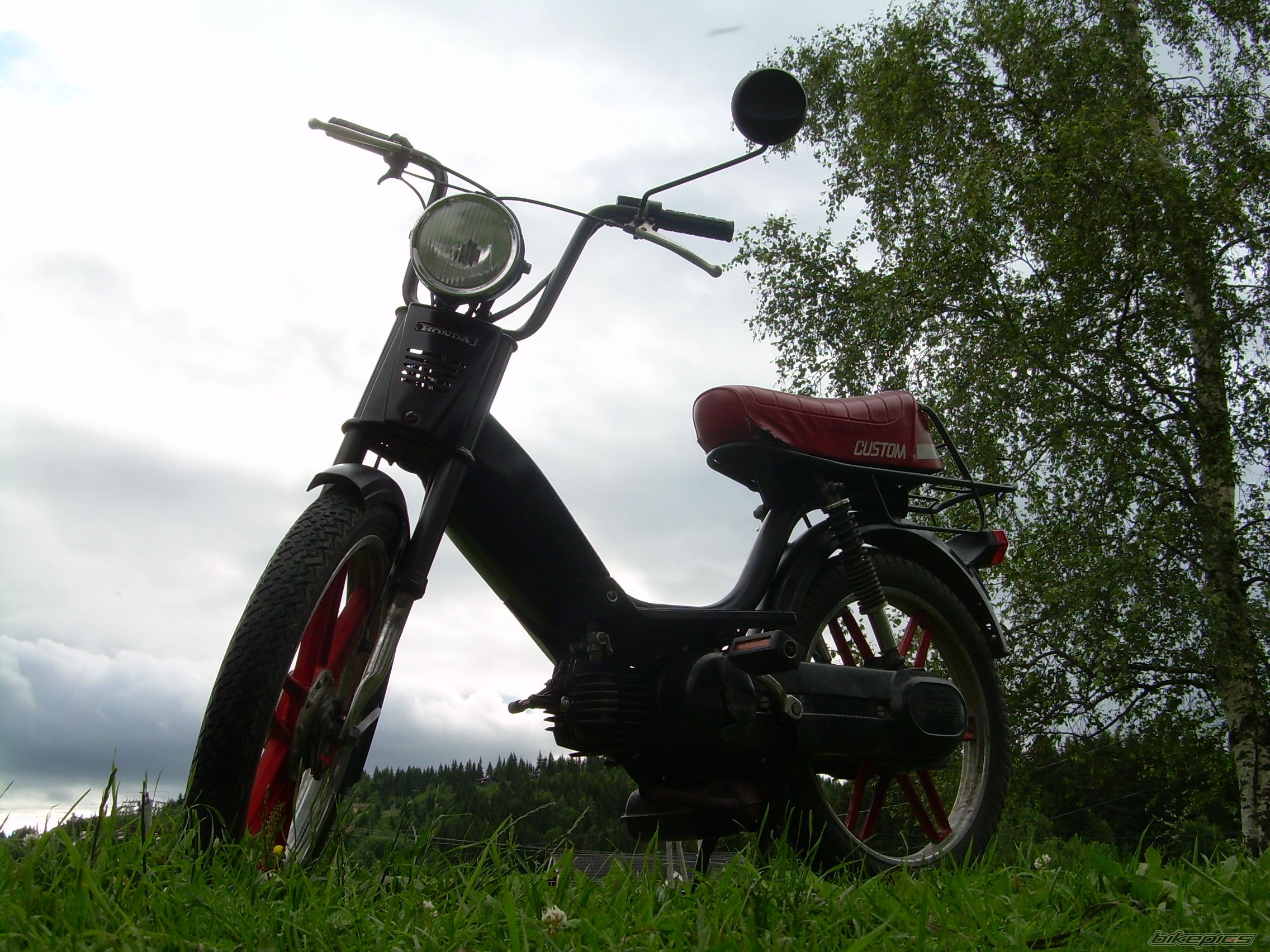 1980 HONDA PA 50 | Picture 995487 motorcycle photo