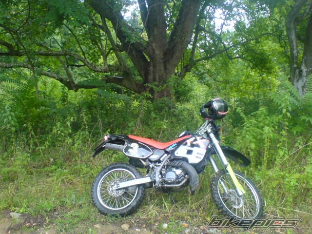 1995 APRILIA RX 50 | Picture 995524 motorcycle photo