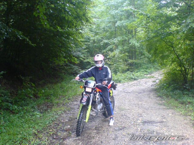1995 APRILIA RX 50 | Picture 995535 motorcycle photo