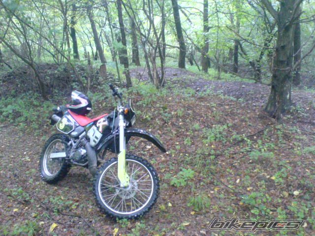 1995 APRILIA RX 50 | Picture 995538 motorcycle photo