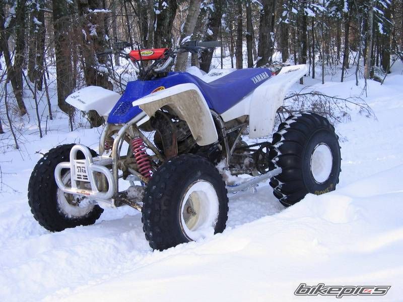 1993 YAMAHA BLASTER | Picture 995565 motorcycle photo