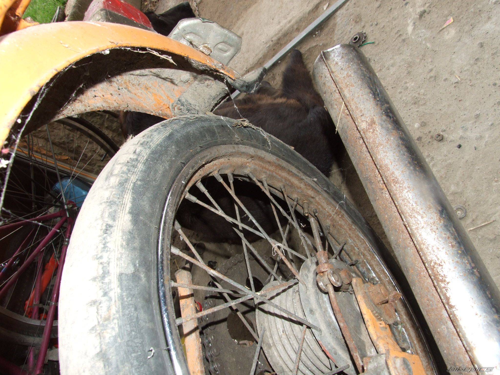 1988 ROMET OGAR 200 | Picture 995585 motorcycle photo