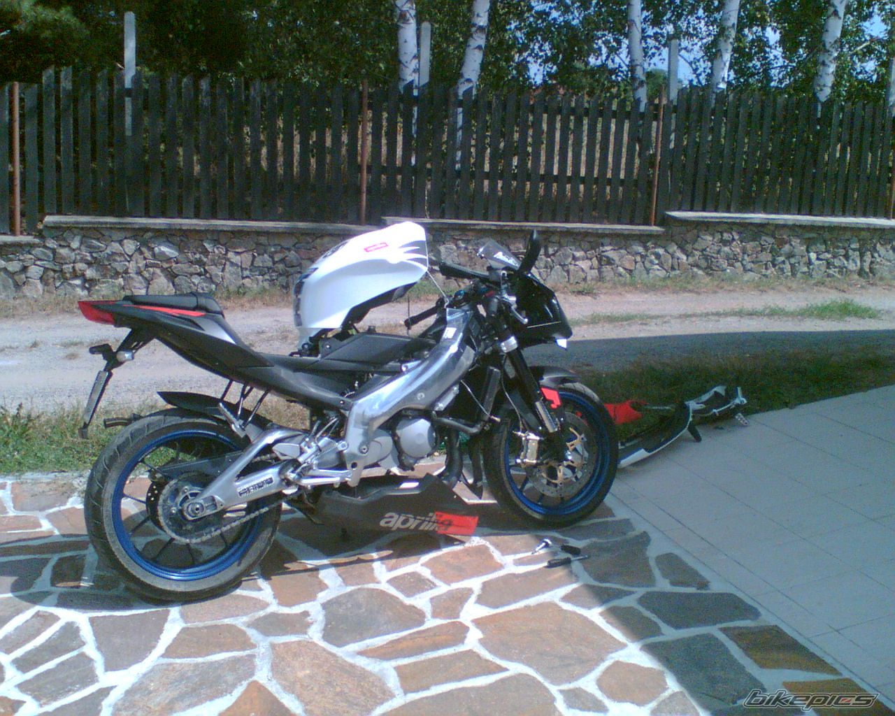 2006 APRILIA RS 125 | Picture 995722 motorcycle photo