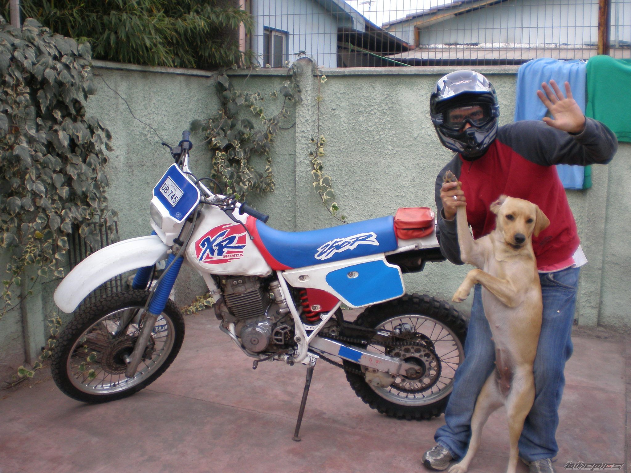 1990 HONDA XR 250 | Picture 995846 motorcycle photo