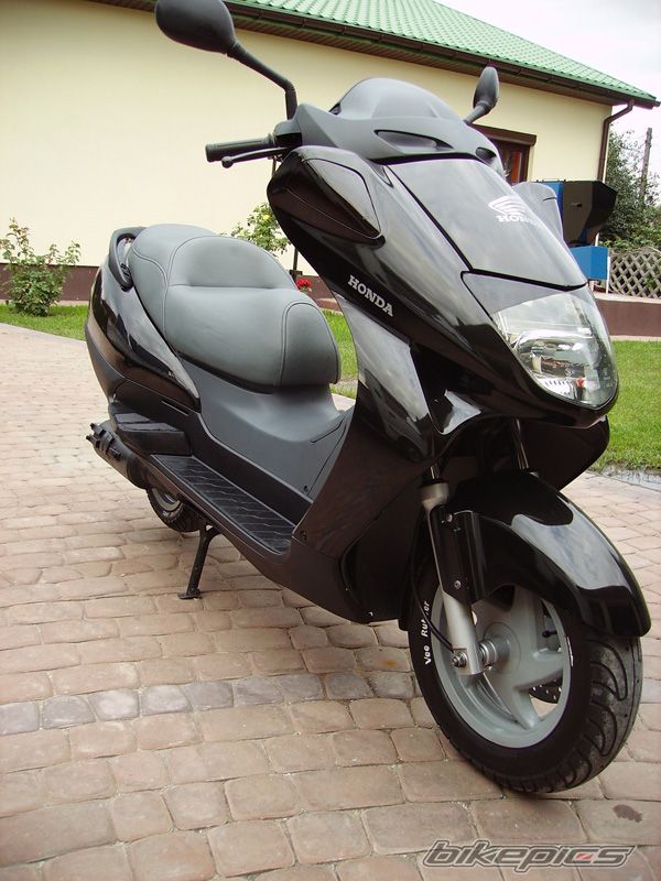 2001 HONDA PANTHEON | Picture 996428 motorcycle photo