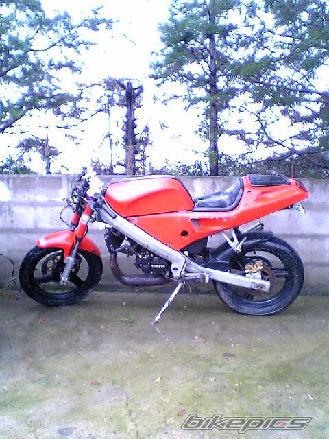 1992 CAGIVA PRIMA 50 | Picture 997812 motorcycle photo