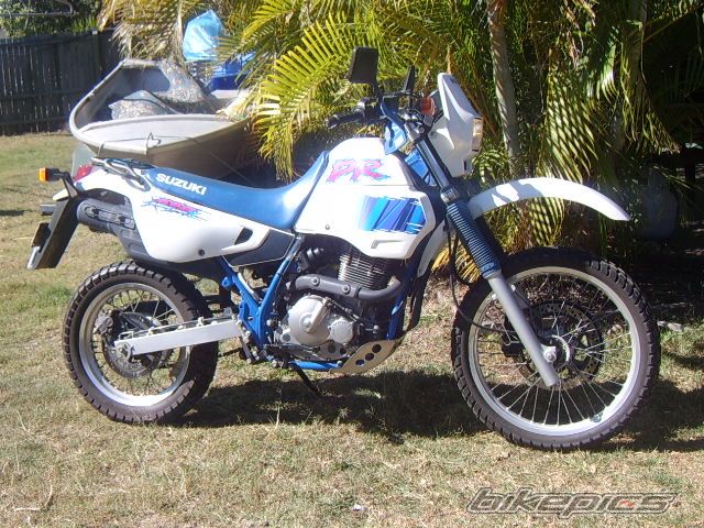 1994 SUZUKI DR 650 | Picture 998369 motorcycle photo