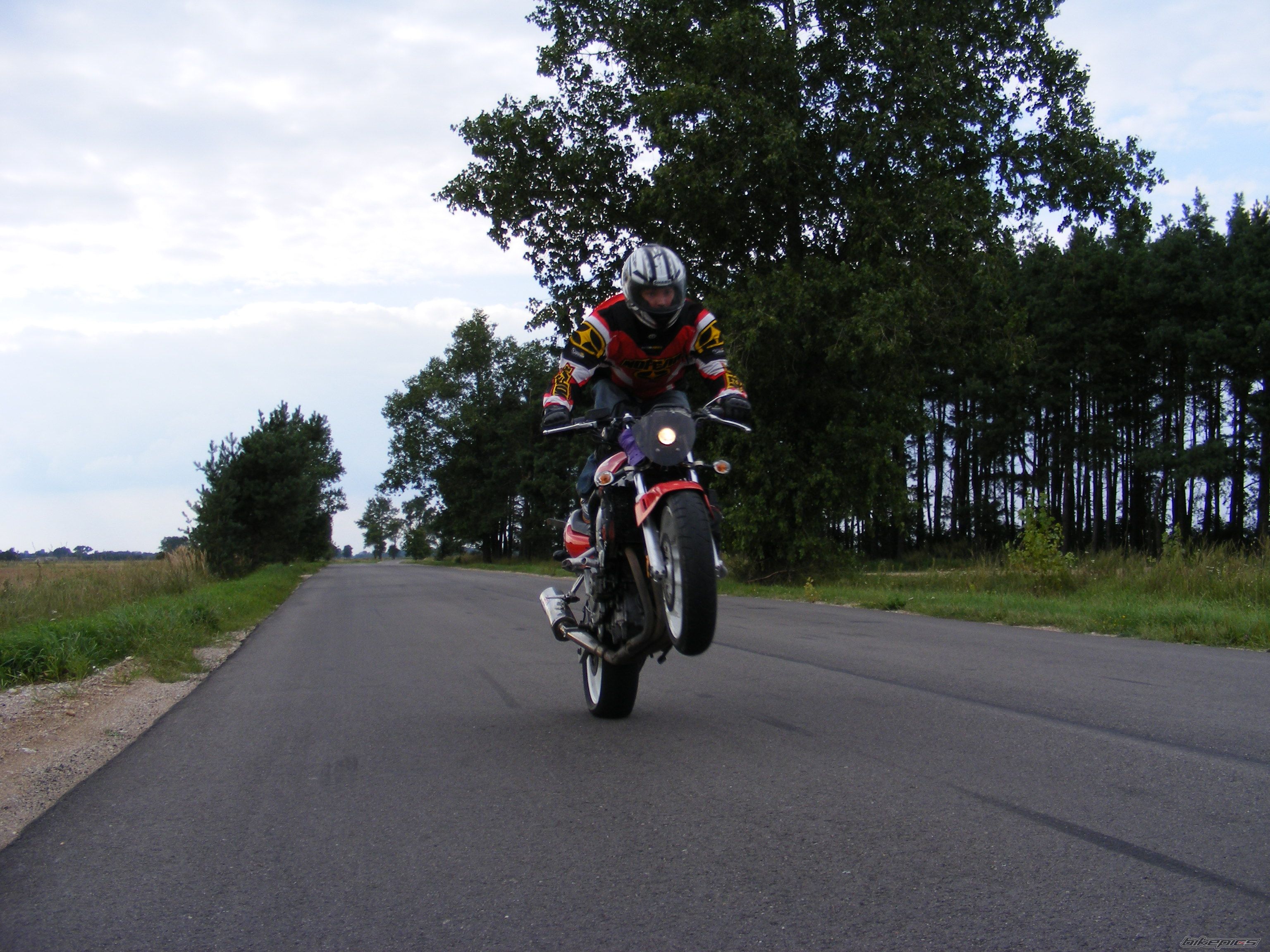 1992 HONDA CBR 600 | Picture 998410 motorcycle photo