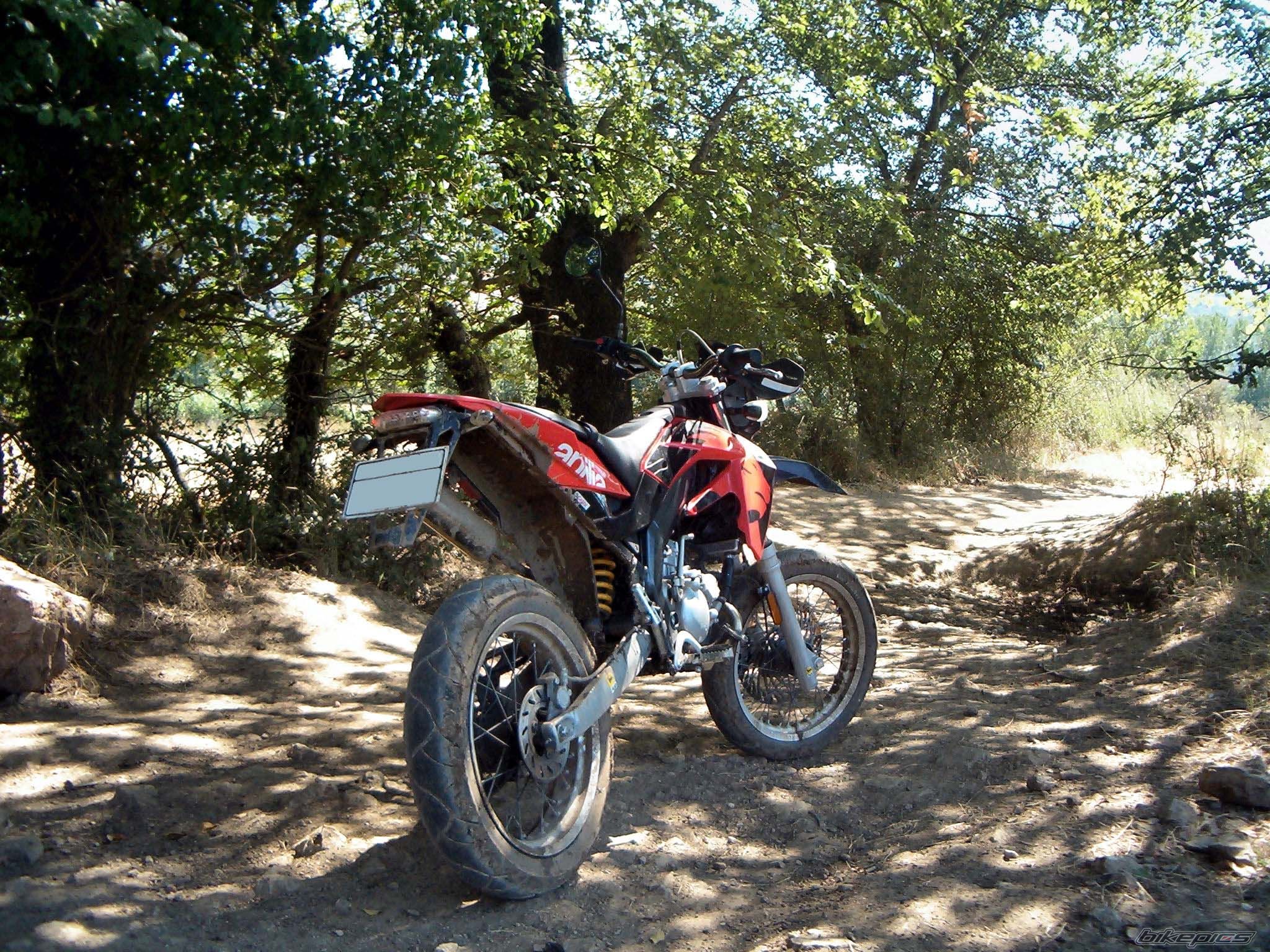 2007 APRILIA RX 50 | Picture 998993 motorcycle photo