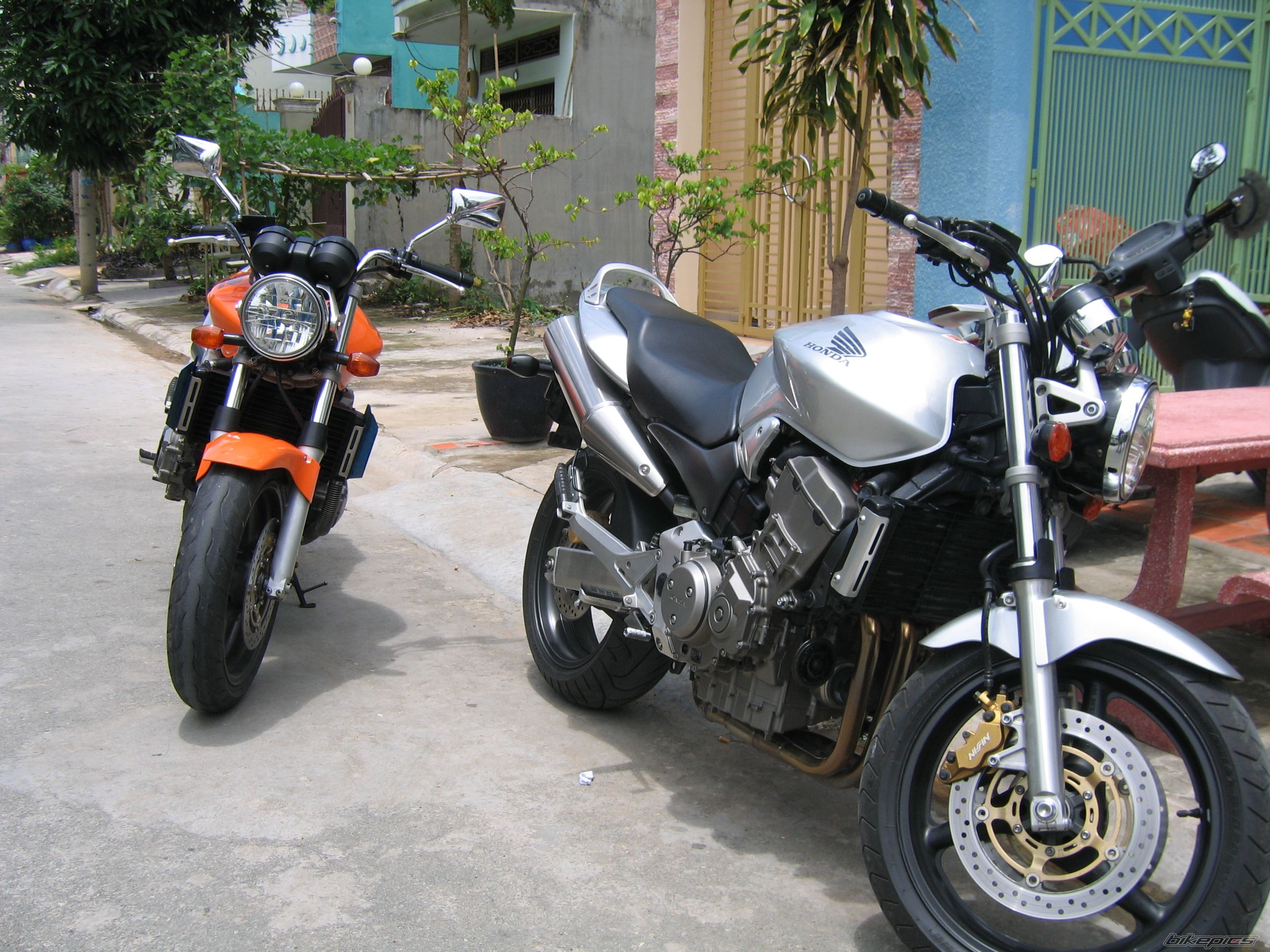 2002 HONDA CB 900 | Picture 999666 motorcycle photo